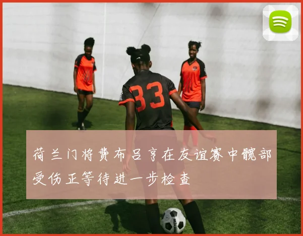 荷兰门将费布吕亨在友谊赛中髋部受伤正等待进一步检查